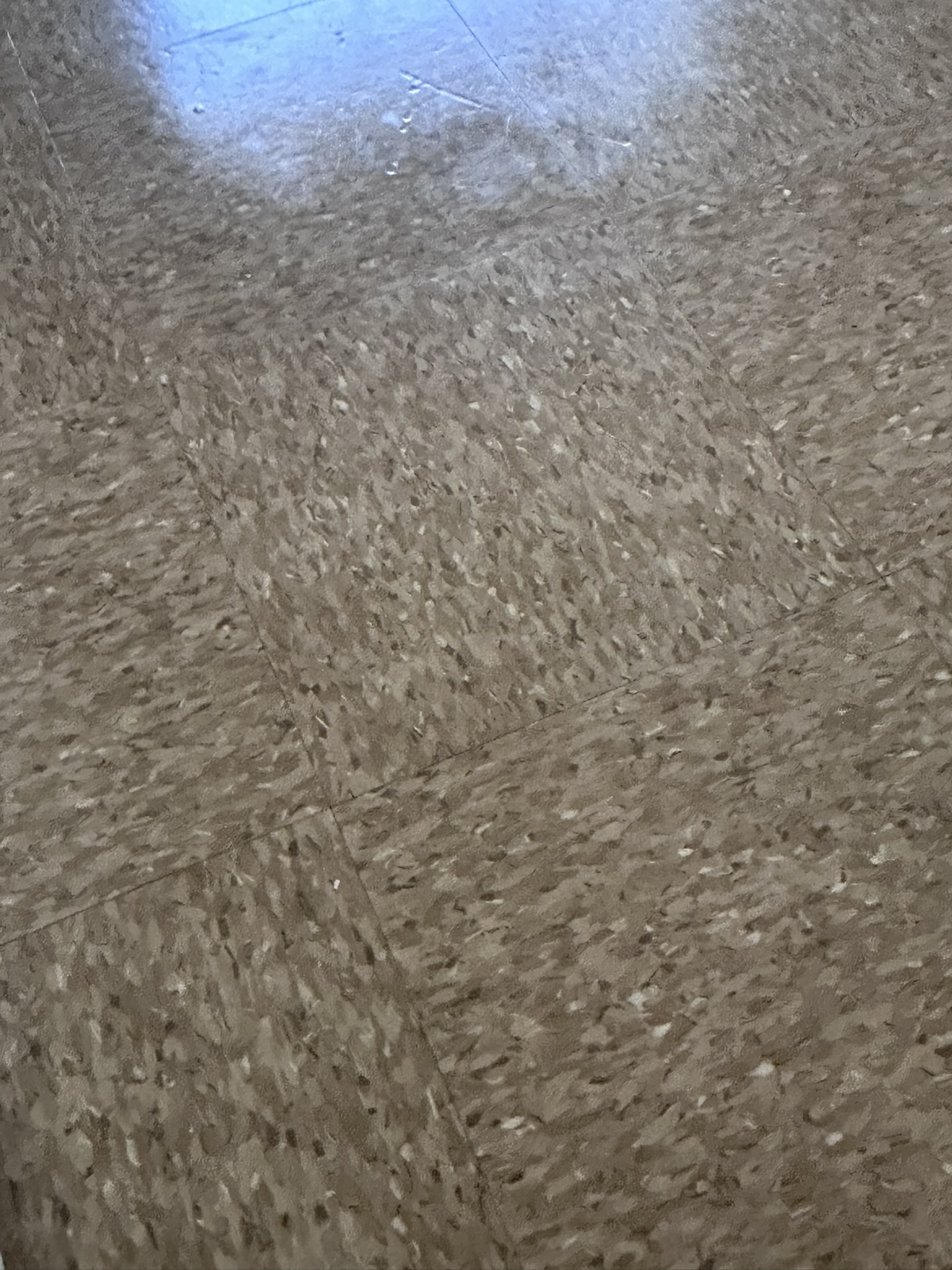 Close-up of restored VCT floor finish after waxing