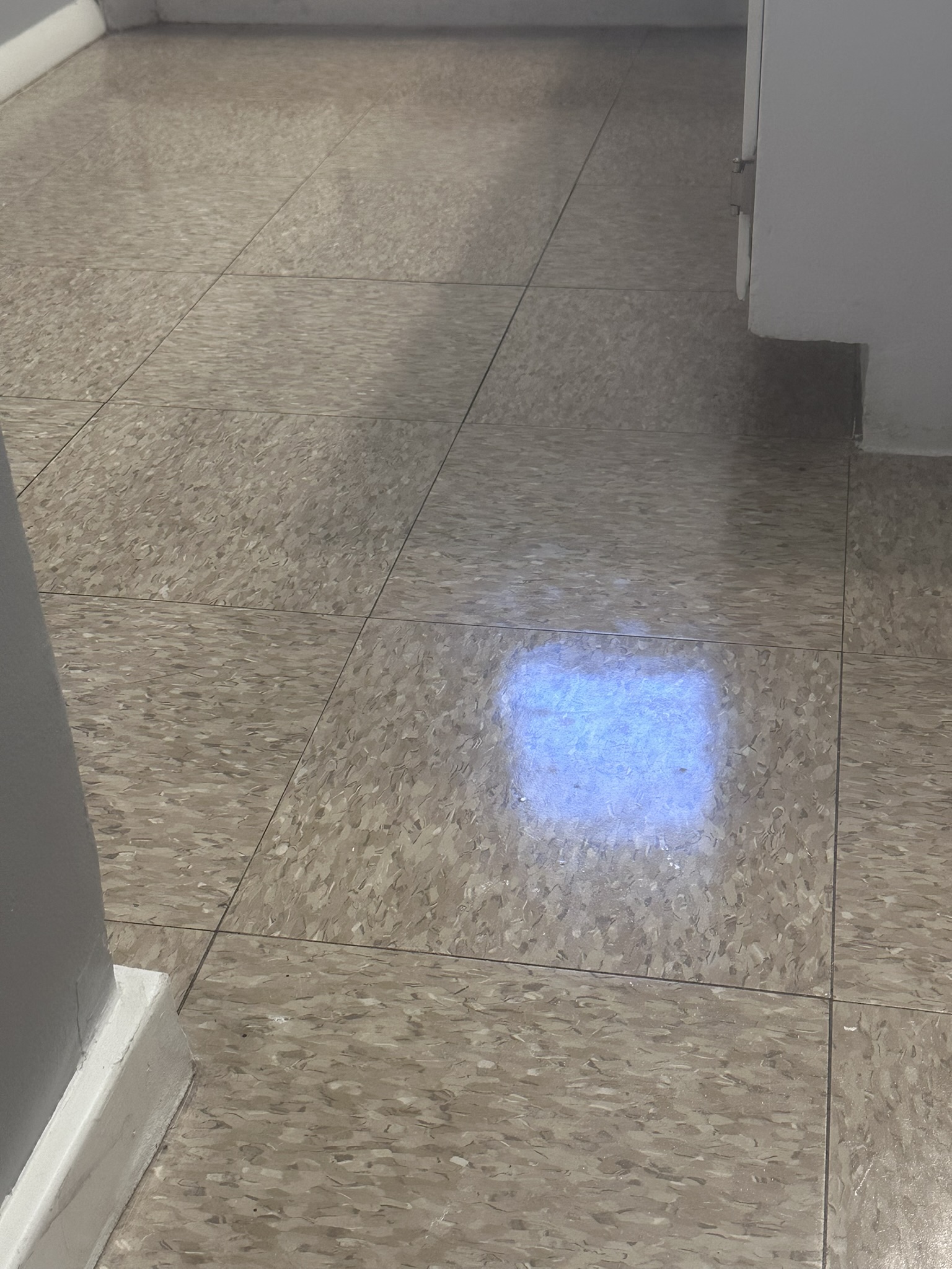 Hallway VCT floor after stripping and waxing